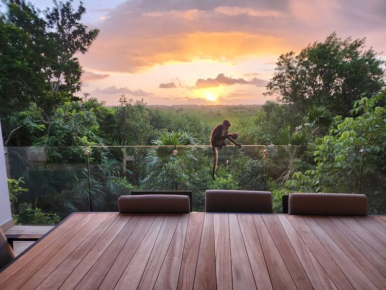 Serenity in the Jungle - Puerto Morelos, Mexico