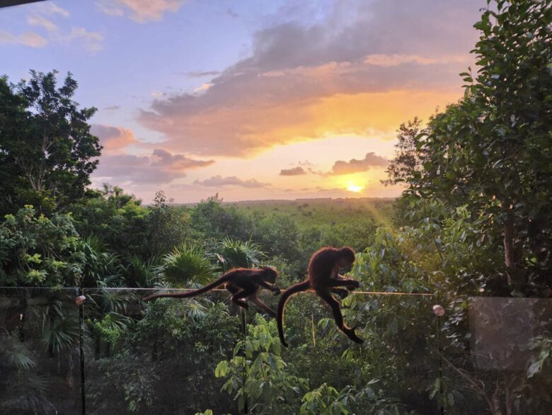 Serenity in the Jungle - Puerto Morelos, Mexico