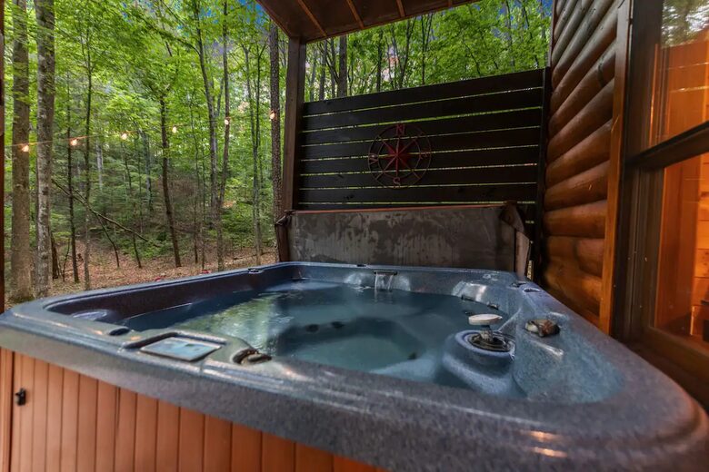 Bear Holler - Cherry Log, Georgia