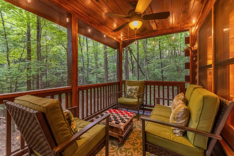 Bear Holler - Cherry Log, Georgia