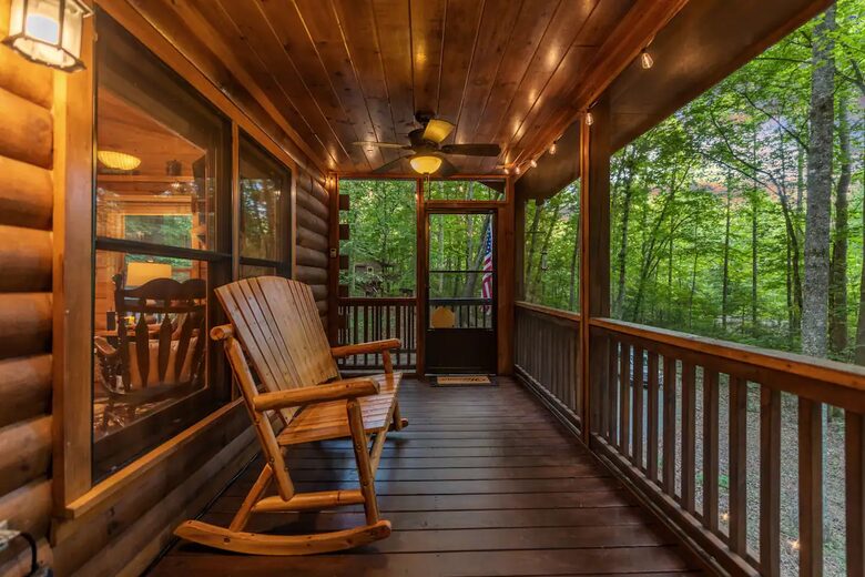 Bear Holler - Cherry Log, Georgia