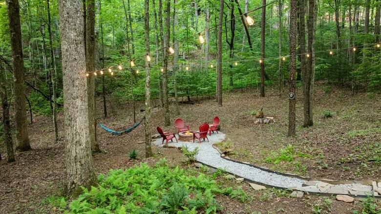 Bear Holler - Cherry Log, Georgia