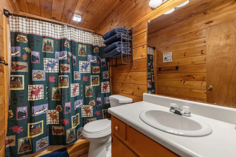Bear Holler - Cherry Log, Georgia
