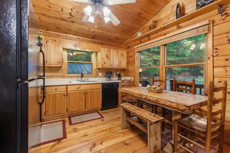 Bear Holler - Cherry Log, Georgia