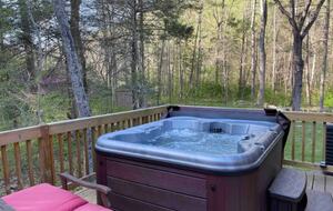 A Secluded Cabin Retreat in the Shenandoah - Elkton, Virginia