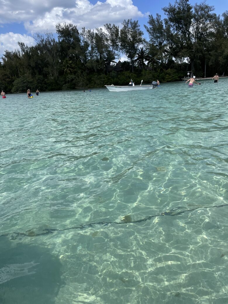Coralina - Bradenton, Florida
