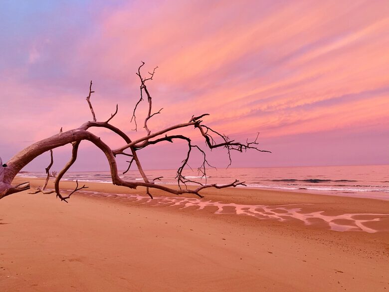 Ocean View Absolute Beachfront Home - Rules Beach, Australia