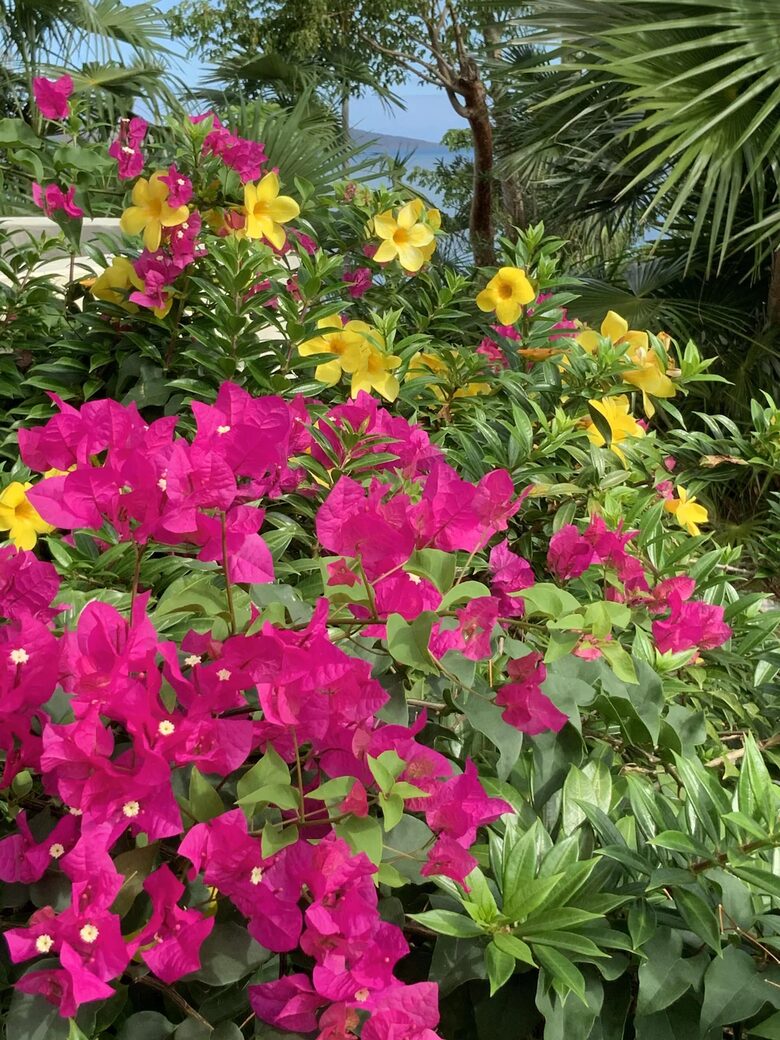 Gestalt Villa at The Steele Point Estate - Tortola, Virgin Islands, British