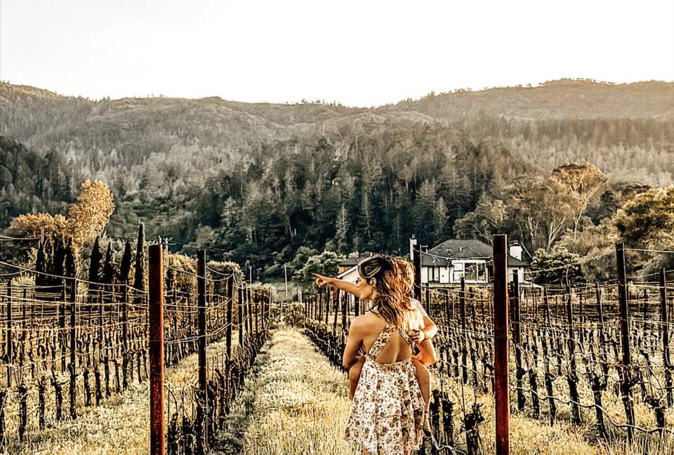 Napa Valley Vineyard Estate - Saint Helena, California
