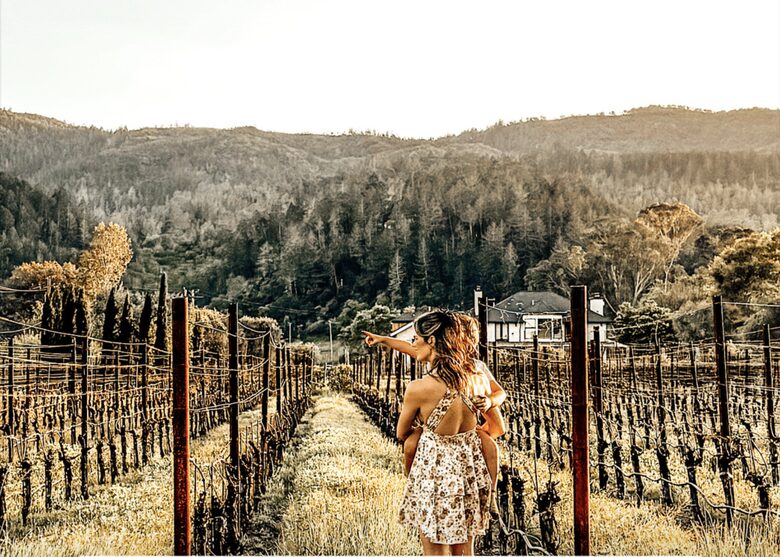 Napa Valley Vineyard Estate - Saint Helena, California