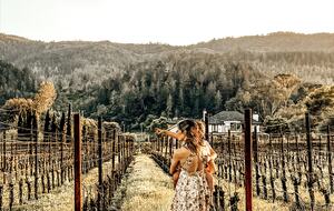 Napa Valley Vineyard Estate - Saint Helena, California