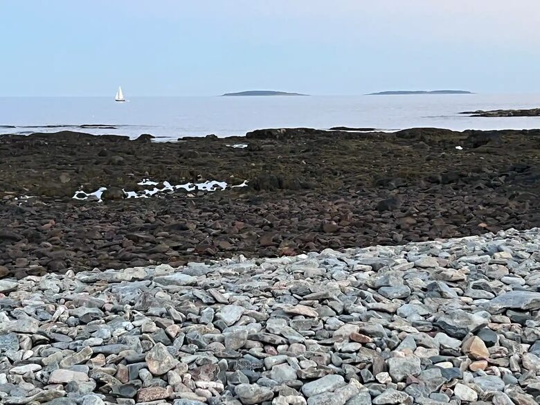 The Schoolhouse | Coastal Maine Escape - Southwest Harbor, Maine