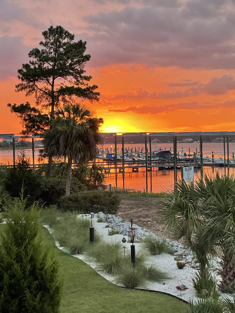 View from back deck