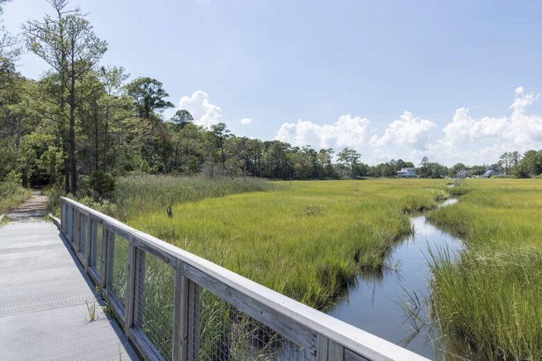Luxe Haven on Hazlett - Rehoboth Beach, Delaware