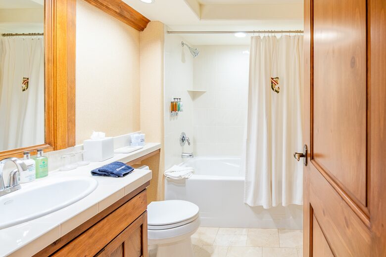 Austria Haus - 3 Bedroom Penthouse - Vail, Colorado