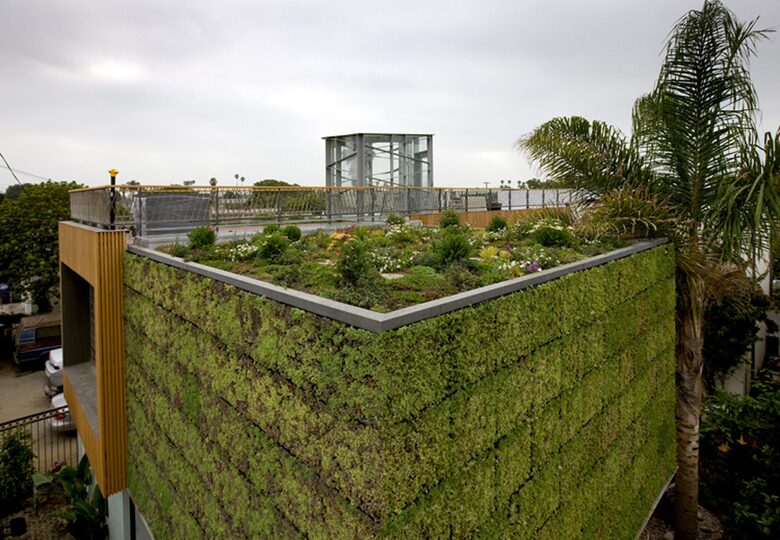 Architectural Oasis in Venice - Venice, California