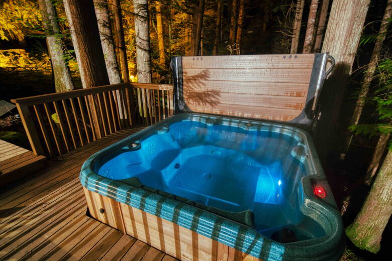 Lost Owl Lodge - Packwood, Washington