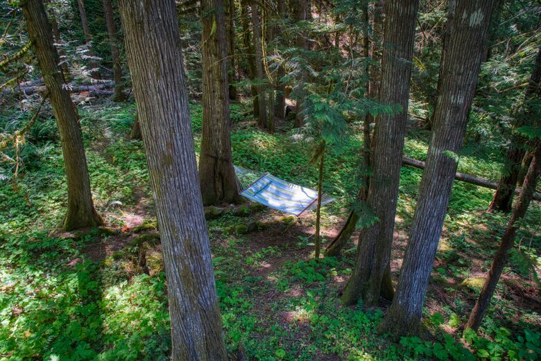Lost Owl Lodge - Packwood, Washington