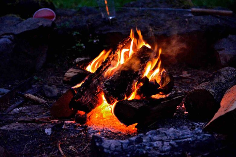 Lost Owl Lodge - Packwood, Washington