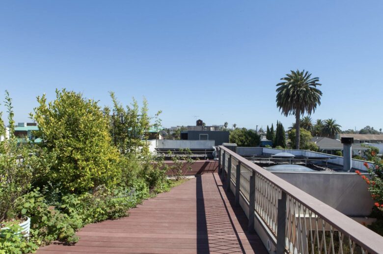 Architectural Oasis in Venice - Venice, California
