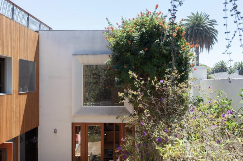 Architectural Oasis in Venice - Venice, California