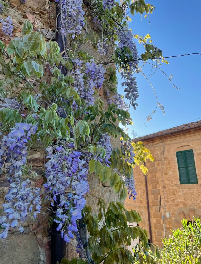 Casa Nobile - Trequanda, Italy