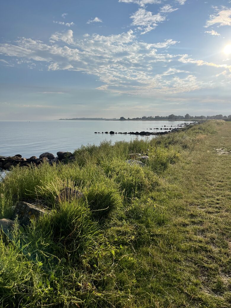 Bisserup Beach House - Bisserup, Denmark