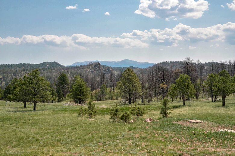 Elevated Bliss: Pikes Peak Mountain Retreat - Florissant, Colorado
