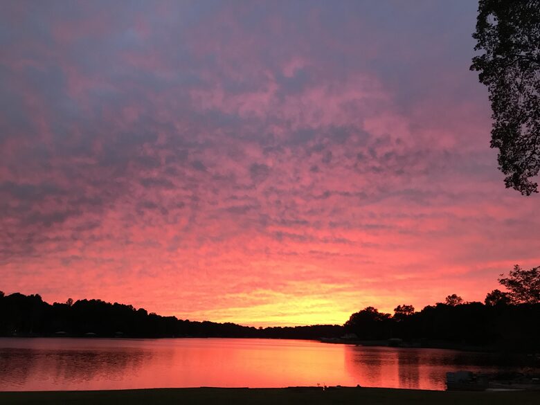Little Acorn Luxury - Mooresville, North Carolina