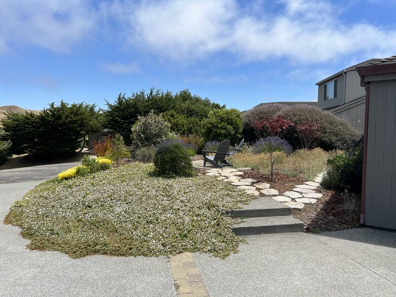 Front yard patio at driveway.