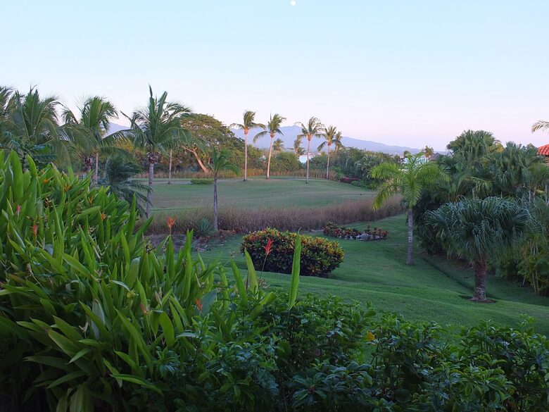 Vista Ladera - Inside the Gates of Punta Mita - Bahia de Banderas, Mexico
