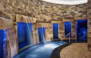 The St. Regis Residence Club | Aspen 2BR
