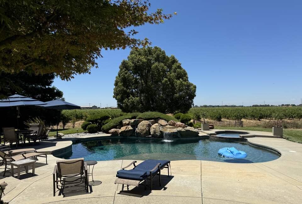 Vineyard Paradise on Working Vineyard - Elk Grove, California