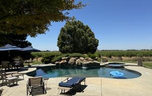 Vineyard Paradise on Working Vineyard - Elk Grove, California