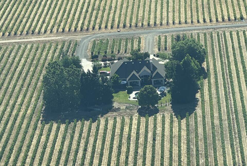 Vineyard Paradise on Working Vineyard - Elk Grove, California