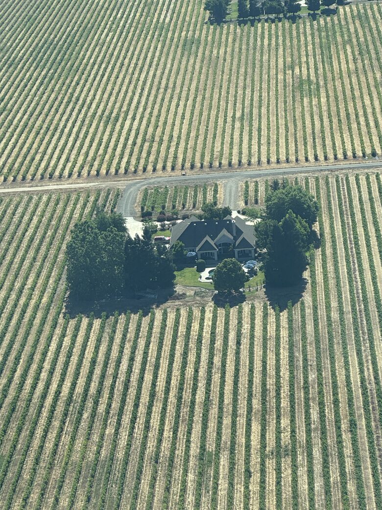 Vineyard Paradise on Working Vineyard - Elk Grove, California