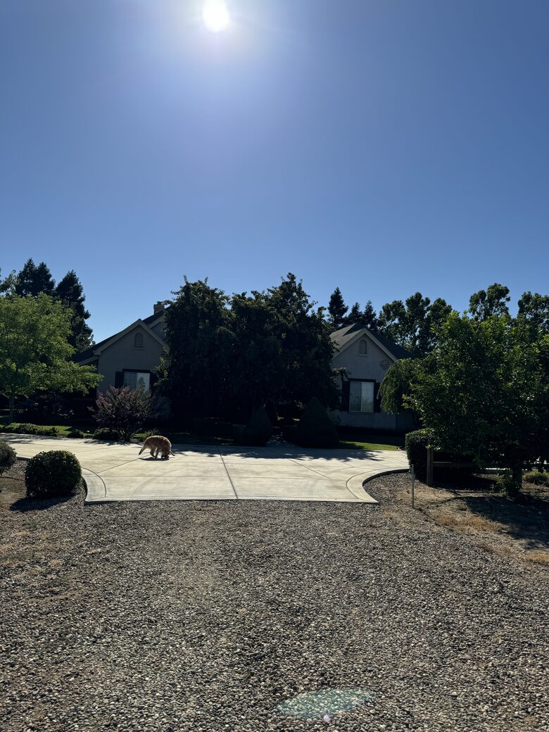 Vineyard Paradise on Working Vineyard - Elk Grove, California