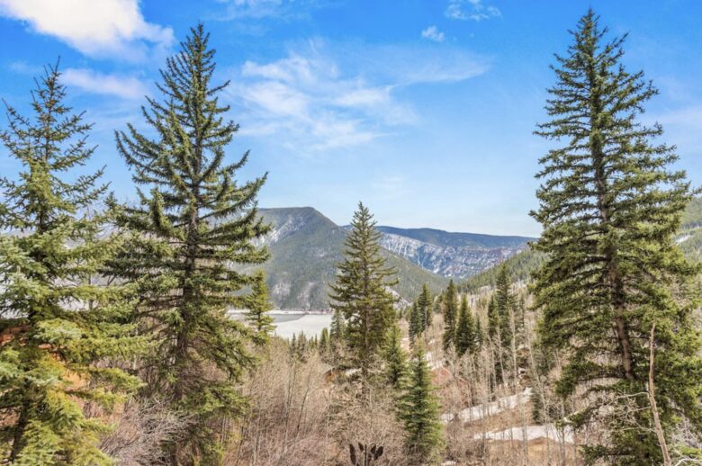 Cozy Colorado Getaway - Basalt, Colorado
