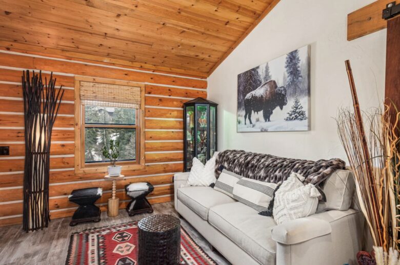 Cozy Colorado Getaway - Basalt, Colorado
