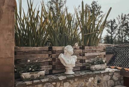 San Gimignano: Exquisite Loft in Mexico's Best-Kept Secret in Val’Quirico - San Miguel Xoxtla, Mexico