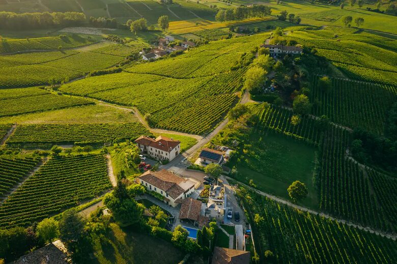 Bosco Bracco: Scenic Hilltop Vineyard Retreat in Asti - Canelli, Italy