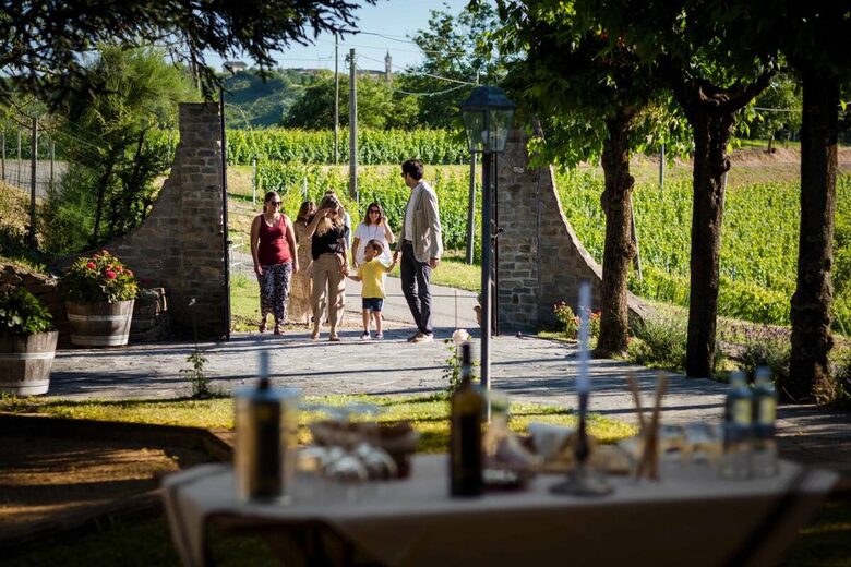 Bosco Bracco: Scenic Hilltop Vineyard Retreat in Asti - Canelli, Italy