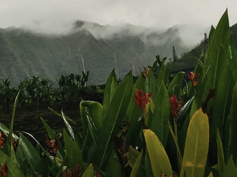 Farm Cottage in Paradise - Kaneohe, Hawaii