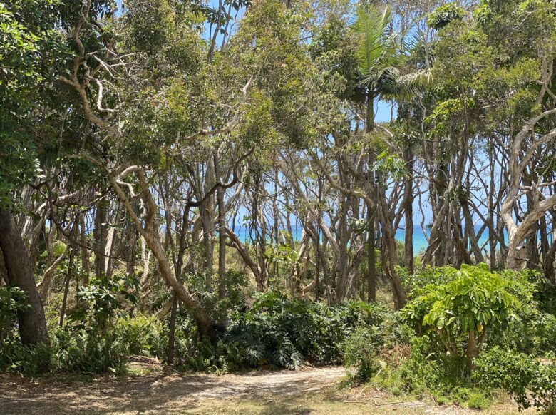 The path through to the beach