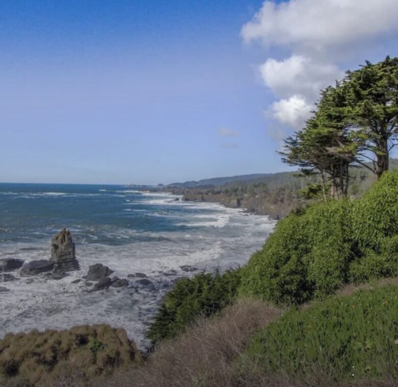 Oceanfront w/ sweeping views, decks, hot tub and dog friendly! Gualala/ Sea Ranch - Gualala, California