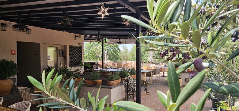 Agua Santa Premium Suite - San Miguel de Allende, Mexico