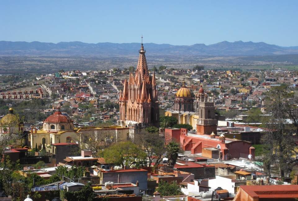 View from rooftop garden