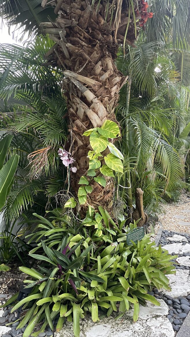 Tropical Beach House | Private & Luxurious with Beach View, Pool, Spa, and Steps to Sand! - Bradenton Beach, Florida