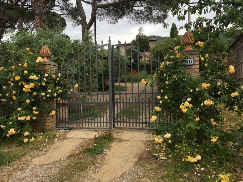 Agriturismo Borgo Santa Lucia - Castiglion Fiorentino, Italy