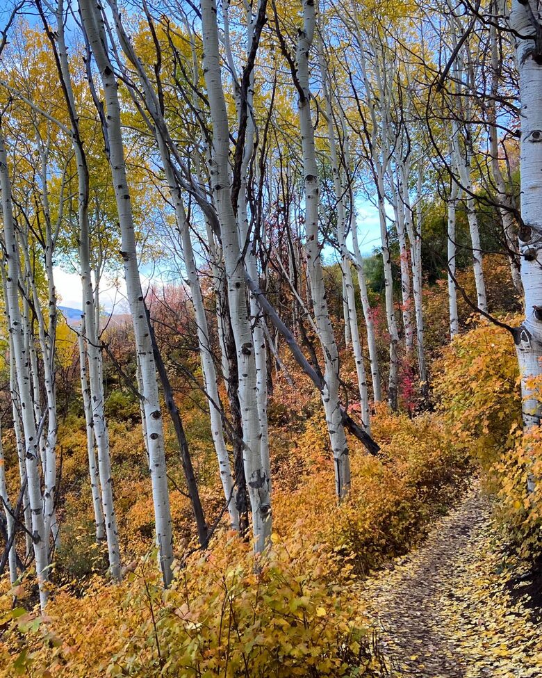 Historic Main Street - Park City, Utah